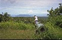 War relict near Rabaul